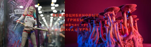 стаф Володарск