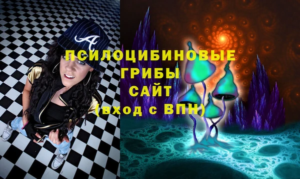стаф Володарск