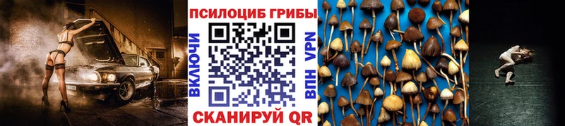 Псилоцибиновые грибы Psilocybe  Новый Оскол 